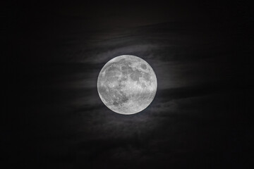 Naklejka na ściany i meble Full moon with cloudy background. Beaver Moon. Night photo with full circle moon