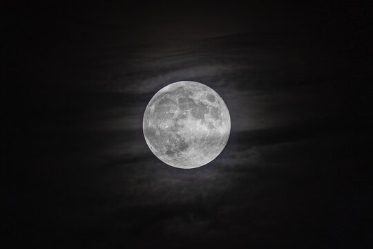 Full moon with cloudy background. Beaver Moon. Night photo with full circle moon