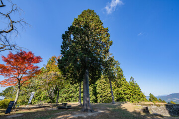 岩村城址本丸跡の景色