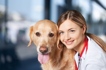 Happy cute dog and vet doctor in hospital