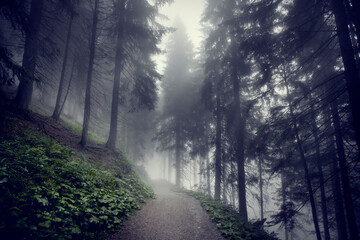 Obraz premium Allgäu