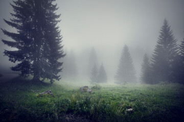 Allgäu