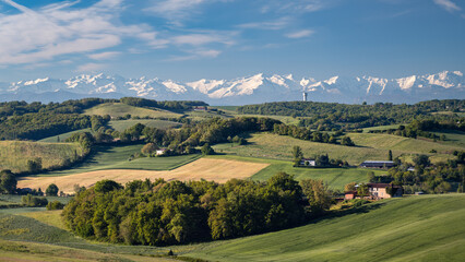 Countryside landscape in the Gers department in France with the Pyrenees mountains in the background - obrazy, fototapety, plakaty