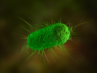 close up of 3d microscopic bacteria cells Escherichia Coli (E. Coli.) under microscope