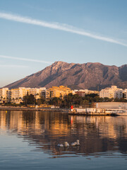 Beautiful sunrise of the city of Marbella (Costa del Sol, Spain) with its beach and its mountain in the background with a clear sky - obrazy, fototapety, plakaty