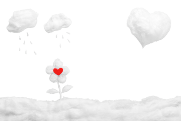 Close-up of red heart in white cotton flower with clouds on background