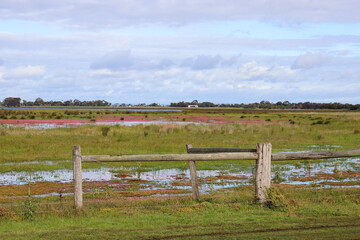 landscape with fence in wet field