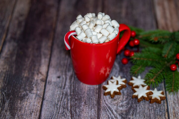 Christmas hot chocolate with marshmallow
