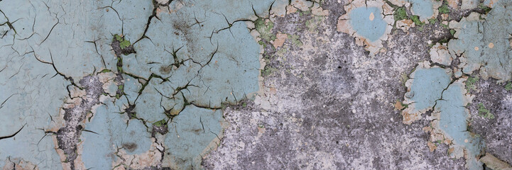 Fototapeta premium Peeling paint on the wall. Panorama of a concrete wall with old cracked flaking paint. Weathered rough painted surface with patterns of cracks and peeling. Wide panoramic texture for grunge background