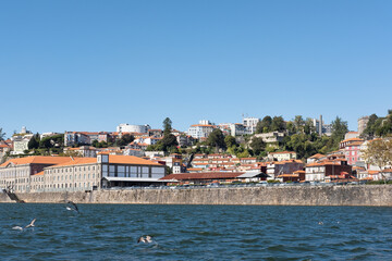 Ample perspective of the city from Douro River towards the northern bank with terraced buildings, gardens and monuments showing a variety of architectural styles in Porto, Portugal