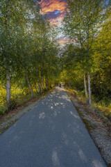 Obraz premium Cottonwood Wayside Bicycling Trail in Idaho