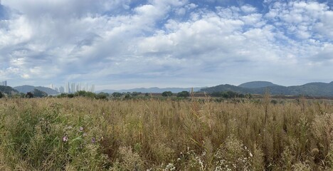 Obraz premium grassland (초원)