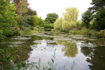 Fototapeta na wymiar pond in the park