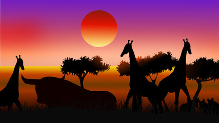 Fototapeta na wymiar sunset in the wild african forest