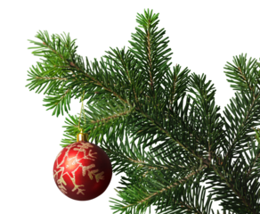 Red bauble on green christmas fir tree on background