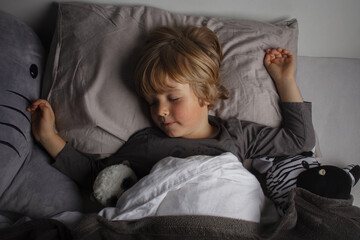 Healthy child, sweetest blonde toddler boy sleeping in a bed with a teddy bear and another stuffed animals. Beautiful baby boy have a healthy sleep in the bed. Sleeping baby.