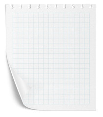 Checkered paper on a transparent background. White note pad paper.