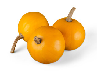 Pumpkins and freshly baked pumpkin pie on white background with copy space