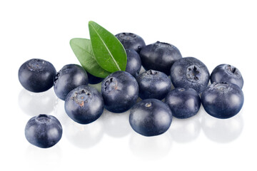 blueberries isolated