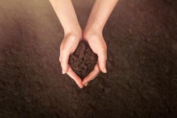 Farmer hand holding dark soil on field background.