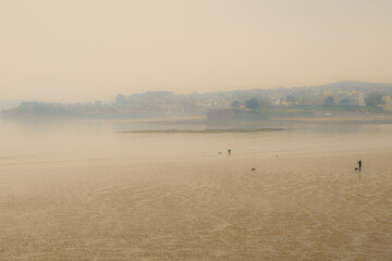 A foggy beach landscape with a man and dog on the beach.