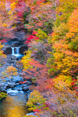 付知峡の紅葉（本谷橋からの眺め）