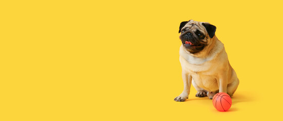Cute pug dog and toy ball on yellow background with space for text