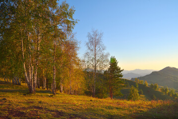Aya Nature Park in the Altai Mountains
