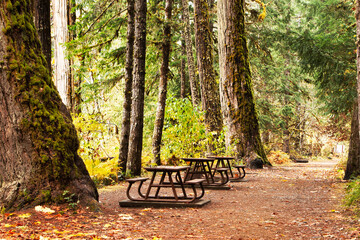 Bench in autumn park