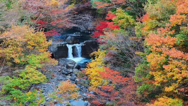 付知峡の紅葉（本谷橋からの眺め）