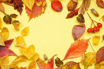 Frame made of different autumn leaves on yellow background
