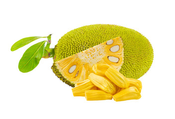 Jackfruits on transparent png