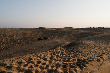 Car tyre marks on sand dunes of Thar desert, Rajasthan, India. Tourists arrive on cars to watch sun rise at desert , a very popular activity amongst travellers.