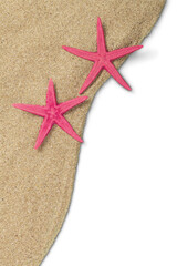 Two pink Starfish isolated on  background.