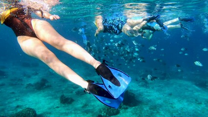 Beautiful lady swimming on water surface with lots of fishes in Caribbean Sea | A girl enjoying snorkeling and swimming adventure tour in blue sea using snorkeling gears, Fins and life jacket