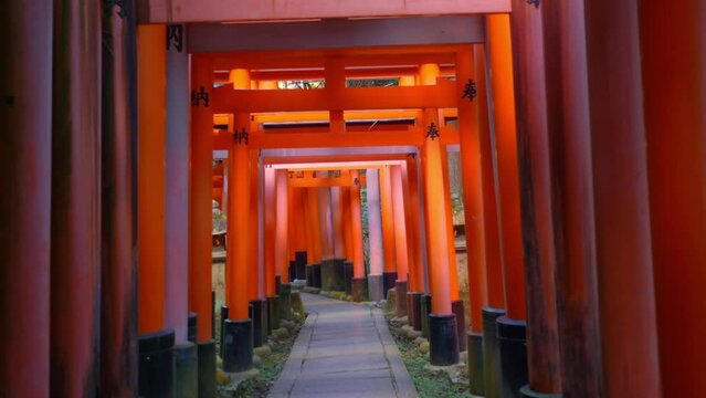 Walking inside Fushimi Inari Shrine or Fushimi Inari Taisha, a Shinto shrine in Kyoto, Japan. A Japanese religious landmark, famous for its thousands of torii gates.