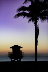 Life Guard tower and palm tree at sunrise silhouetted on a Florida beach
