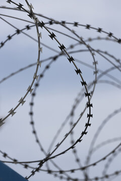 Barbed wire on the fence. Security object