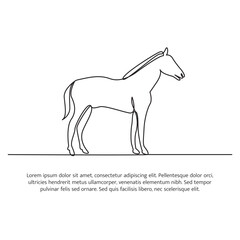 Horse line design. Simple animal silhouette decorative elements drawn with one continuous line. Vector illustration of minimalist style on white background.
