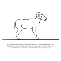 Fototapeta premium Goat line design. Simple animal silhouette decorative elements drawn with one continuous line. Vector illustration of minimalist style on white background.