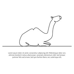Camel line design. Simple animal silhouette decorative elements drawn with one continuous line. Vector illustration of minimalist style on white background.