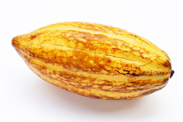 Cocoa fruit isolated on white background