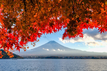 山梨県の河口湖畔からの富士山と紅葉したもみじ