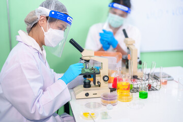 Fototapeta premium Modern Medical Research Laboratory: Stem cell researcher working in laboratory Study on Stem Cells on the Stereo microscope view in laboratory , Advanced Scientific Lab for Medicine, Biotechnology.