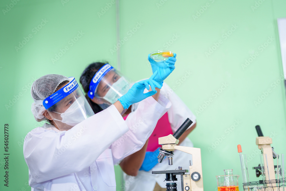 Wall mural Modern Medical Research Laboratory: Stem cell researcher working in laboratory Study on Stem Cells on the Stereo microscope view in laboratory , Advanced Scientific Lab for Medicine, Biotechnology.