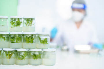 Scientists research results in natural medicine, organic extraction natural science in glassware, alternative green herbal medicine, natural skin care products, laboratories and development concepts.
