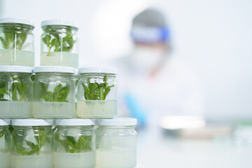 Scientists research results in natural medicine, organic extraction natural science in glassware, alternative green herbal medicine, natural skin care products, laboratories and development concepts.
