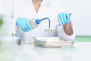 Scientists research results in natural medicine, organic extraction natural science in glassware, alternative green herbal medicine, natural skin care products, laboratories and development concepts.
