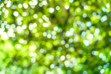 Blurred green summer background with highlights. Sun glare breaks through the leaves on an open...