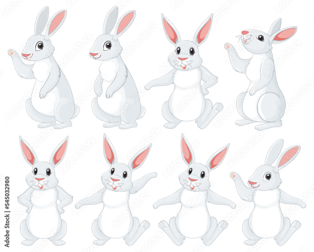 Poster white rabbits in different poses set